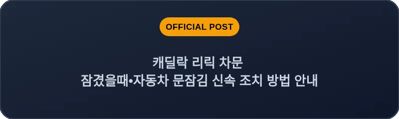 캐딜락 리릭 차문 잠겼을때 자동차 문잠김 신속 조치 방법 안내