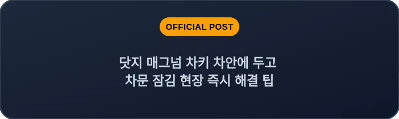 닷지 매그넘 차키 차안에 두고 차문 잠김 현장 즉시 해결 팁