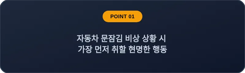 자동차 문잠김 비상 상황 시 가장 먼저 취할 현명한 행동