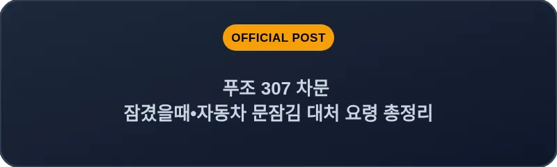 푸조 307 차문 잠겼을때 자동차 문잠김 대처 요령 총정리